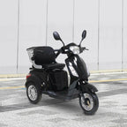 Arvo Seniorenmobil P300 Schwarz