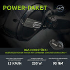 Highphoria Elektrofahrrad Erwachsene, 250W 25 km/h E-Bike mit Batterie, Starker Motor, Kettenschaltung, E-Mountainbike mit Hydraulische Federgabel Pedelec für Damen & Herren