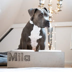 Futterstation Hund PATERA DUO Personalisiert