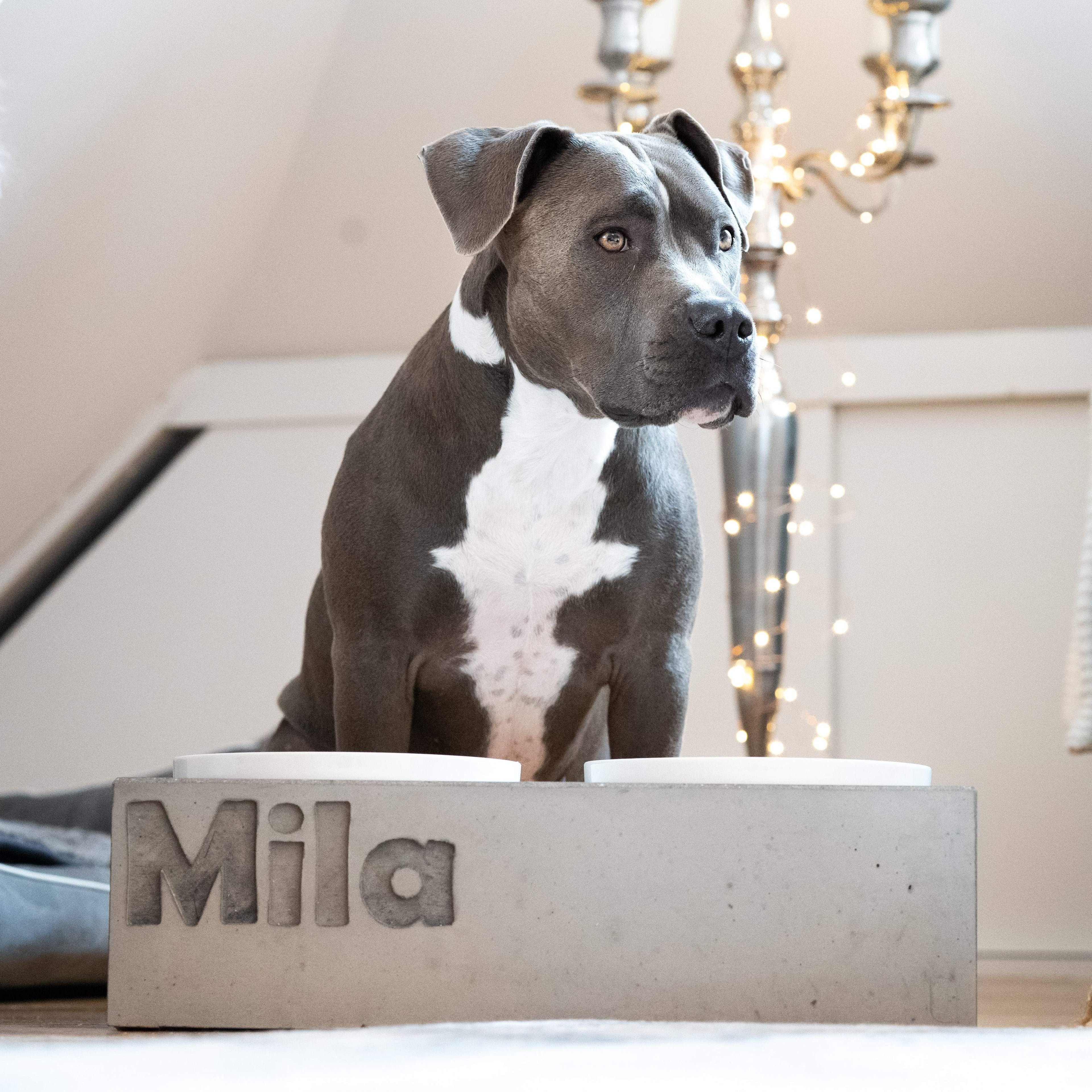 Futterstation Hund PATERA DUO Personalisiert