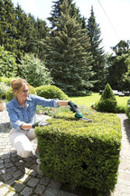 Bosch Akku Grasscheren Set Isio (3,6 Volt, Messerlnge 12 cm, Messerabstand 8 mm, mit XL-Gartenhandschuhen inklusive, in Softcase) – Amazon Edition