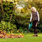 Bosch Home and Garden Akku Laubblser ALB 18 LI (1 Akku, Max. Geblsegeschwindigkeit 210 km/h, im Karton) Grün, Schwarz
