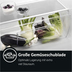 AEG TSK5O881ES Built-In Fridge / 880 mm / 142 L/Tow Door/E