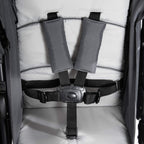 hauck Geschwisterwagen Roadster Duo SLX, Zwillingsbuggy ab Geburt bis 15 kg (ca. 3 Jahren) mit Liegefunktion, XL Korb, Einfach und Klein Zusammenklappbar, Große Räder (Grey/Silver)